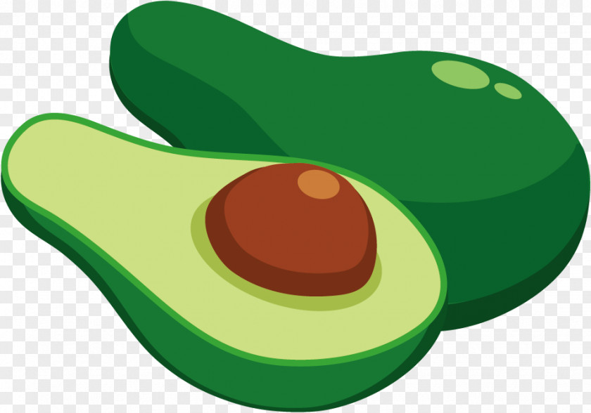 Vector Avocado Fruit Clip Art PNG