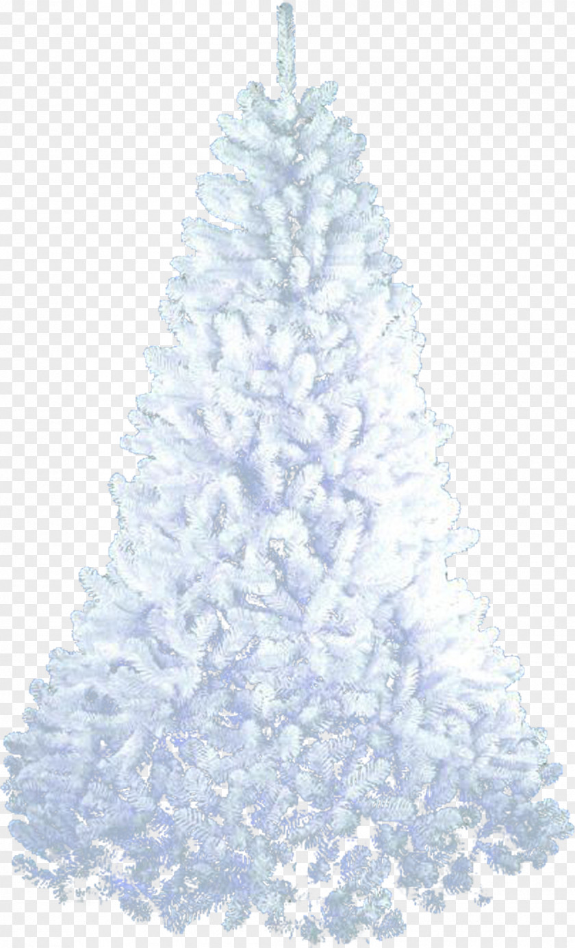 Christmas Tree Fir Desktop Wallpaper PNG