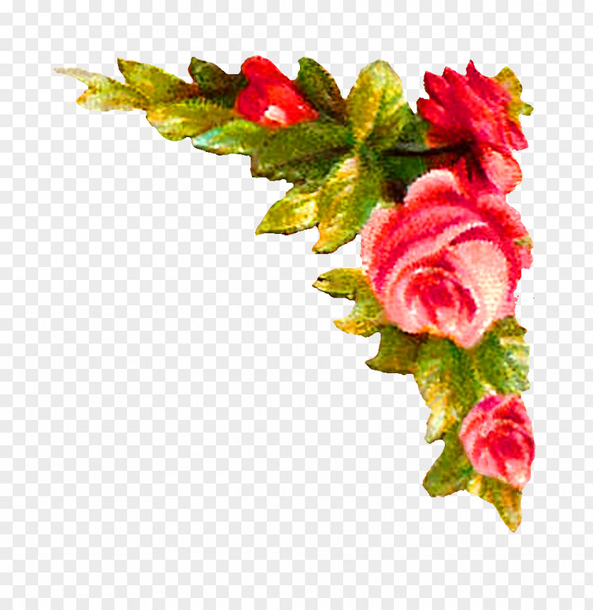 Flower Corner Floral Design Rose Clip Art PNG