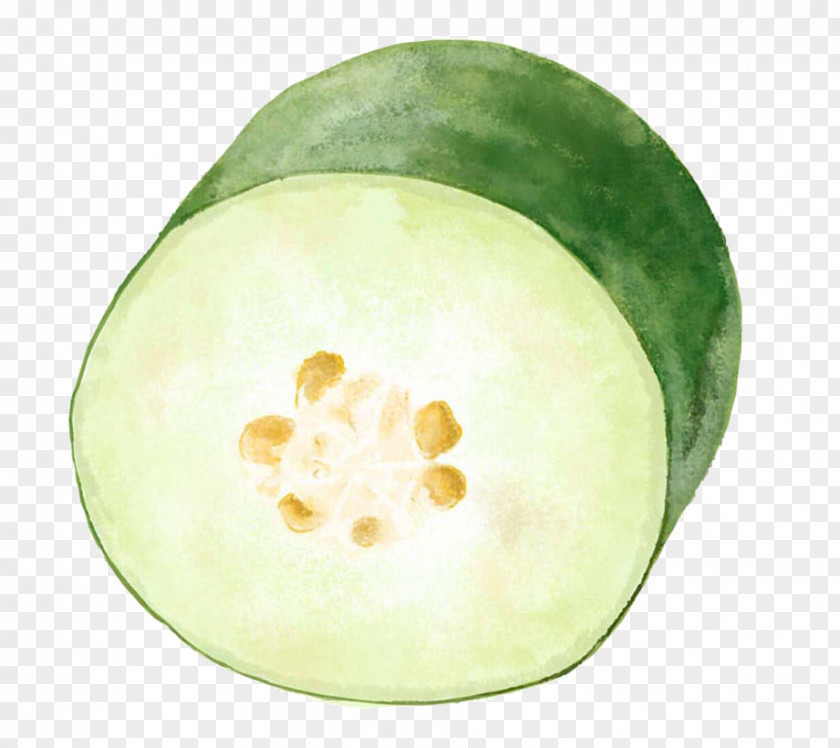Half Melon Wax Gourd Seafood Vegetable PNG