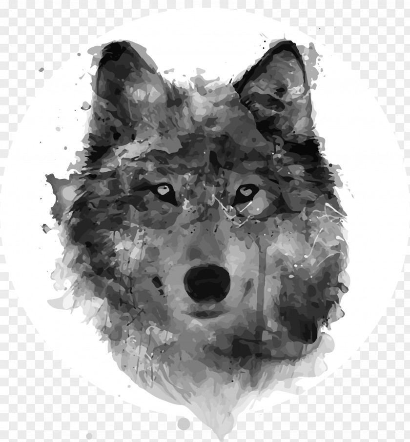 Painting Gray Wolf Watercolor Drawing Watercolour Flowers PNG