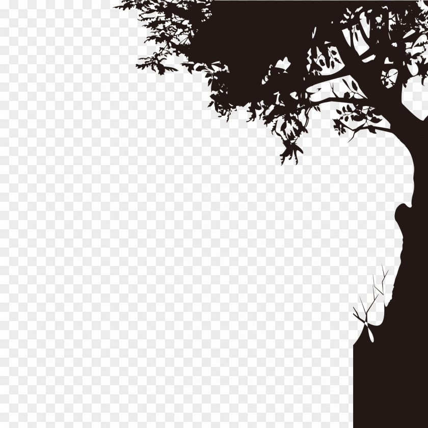 Trees Silhouette PNG silhouette clipart PNG