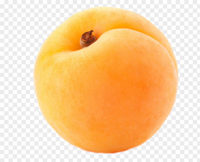 FCB Fruit Apricot Peach Auglis PNG
