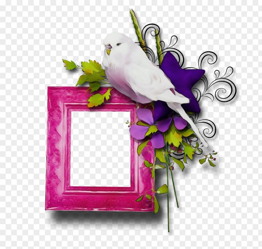 Flower Rectangle Picture Frame PNG