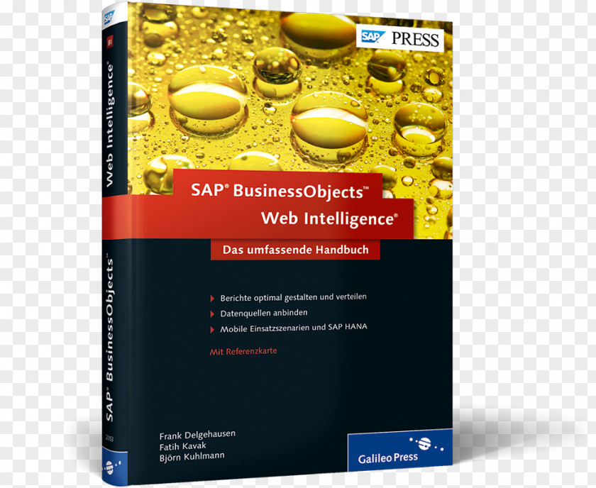 Galileo SAP BusinessObjects Web Intelligence: Das Umfassende Handbuch NetWeaver BW Und BusinessObjects: The Comprehensive Guide Lumira PNG