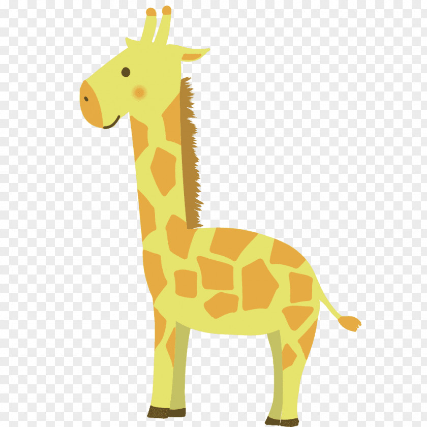 Giraffe Neck Terrestrial Animal Wildlife Clip Art PNG