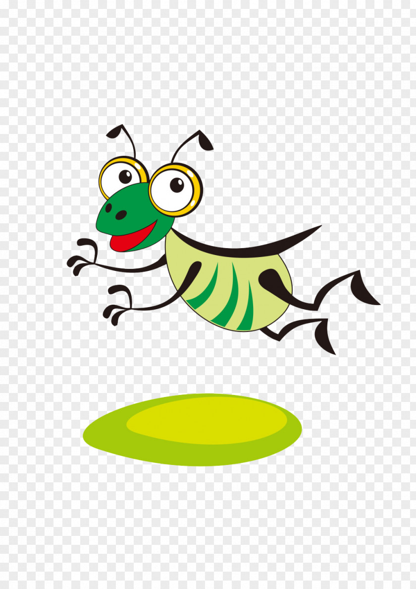 Insect Cartoon Apis Florea Illustration PNG