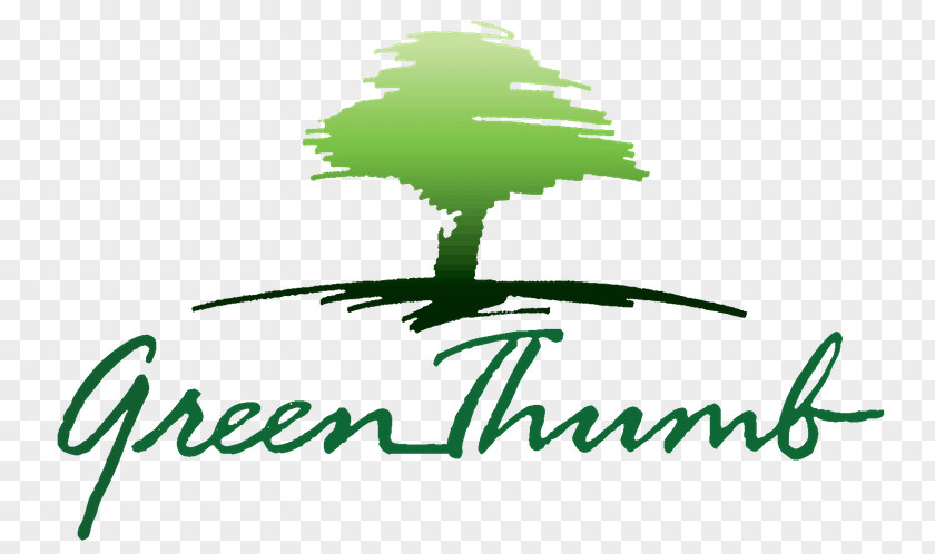 Leaf Logo Green Font Clip Art PNG