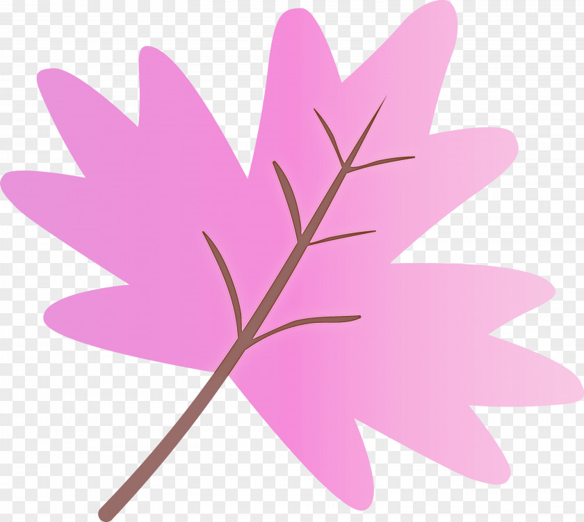 Leaf Pink Plant Tree Flower PNG