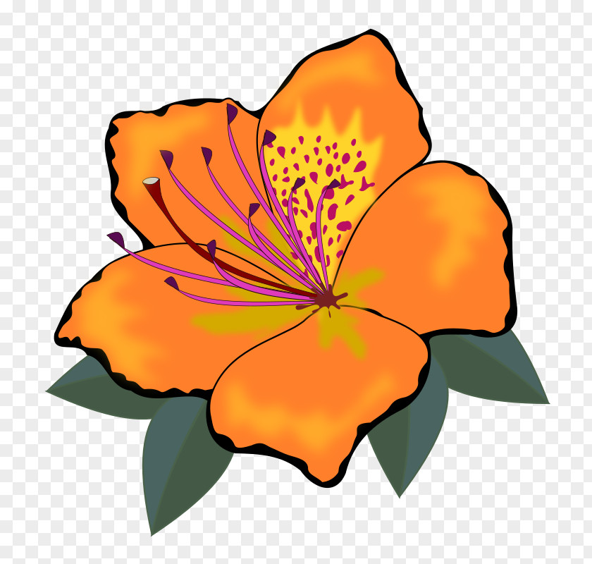 Orange Flowers Cliparts Flower Clip Art PNG