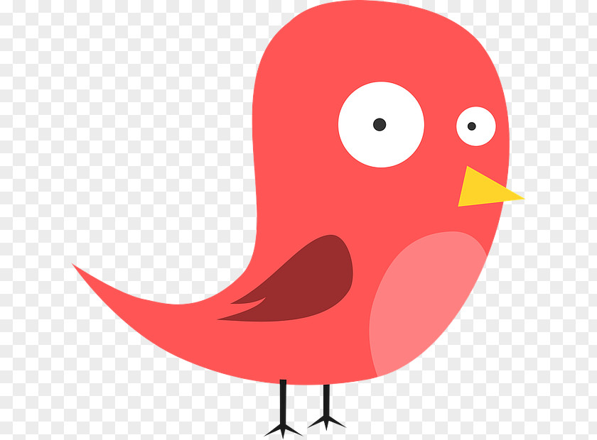 Plant Songbird Bird Red Clip Art Cartoon Beak PNG