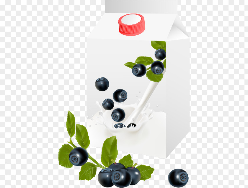 Blueberry Milk Fruit Euclidean Vector PNG