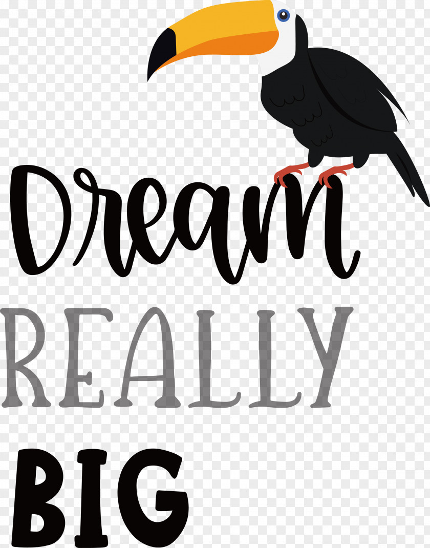 Dream Really Big Catcher PNG
