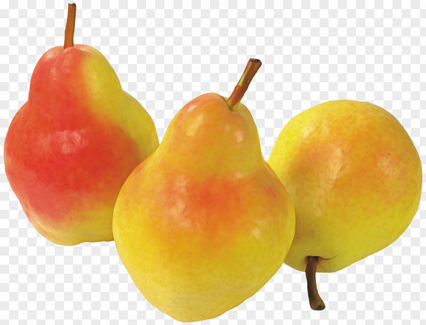 Fruit Tree PNG