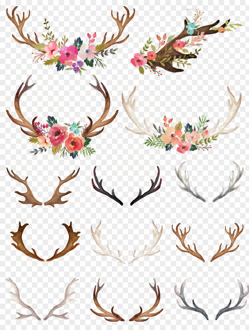 Hand-painted Flowers Antlers PNG flowers antlers clipart PNG