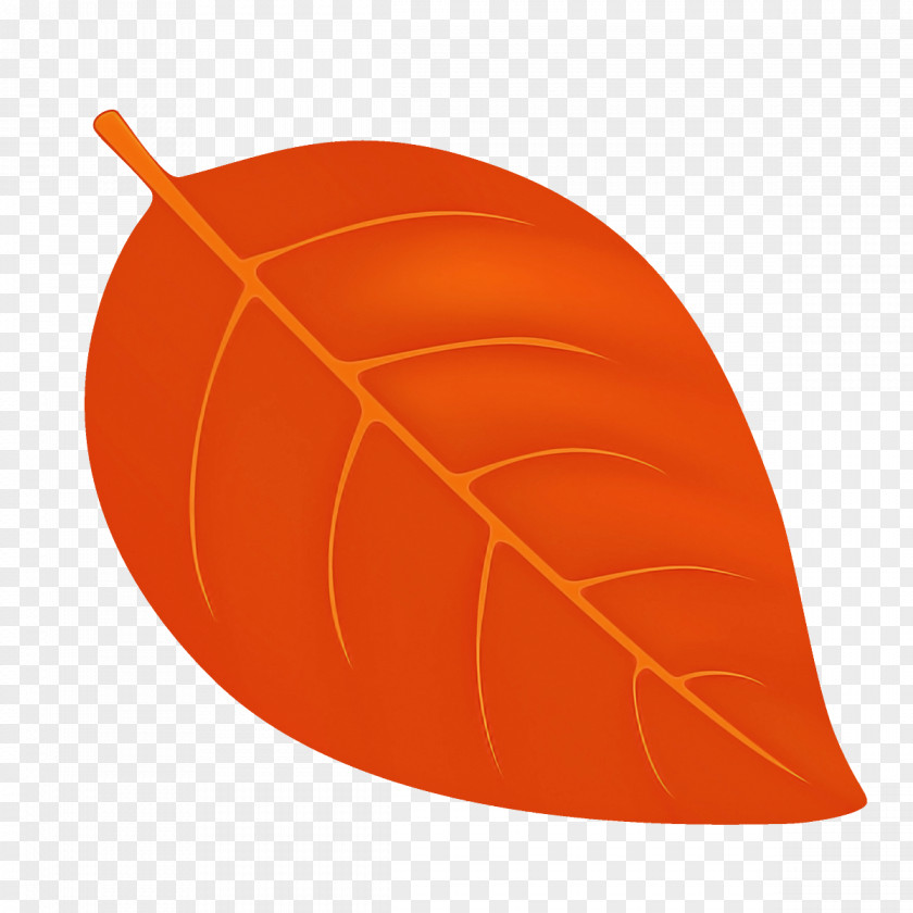 Orange PNG