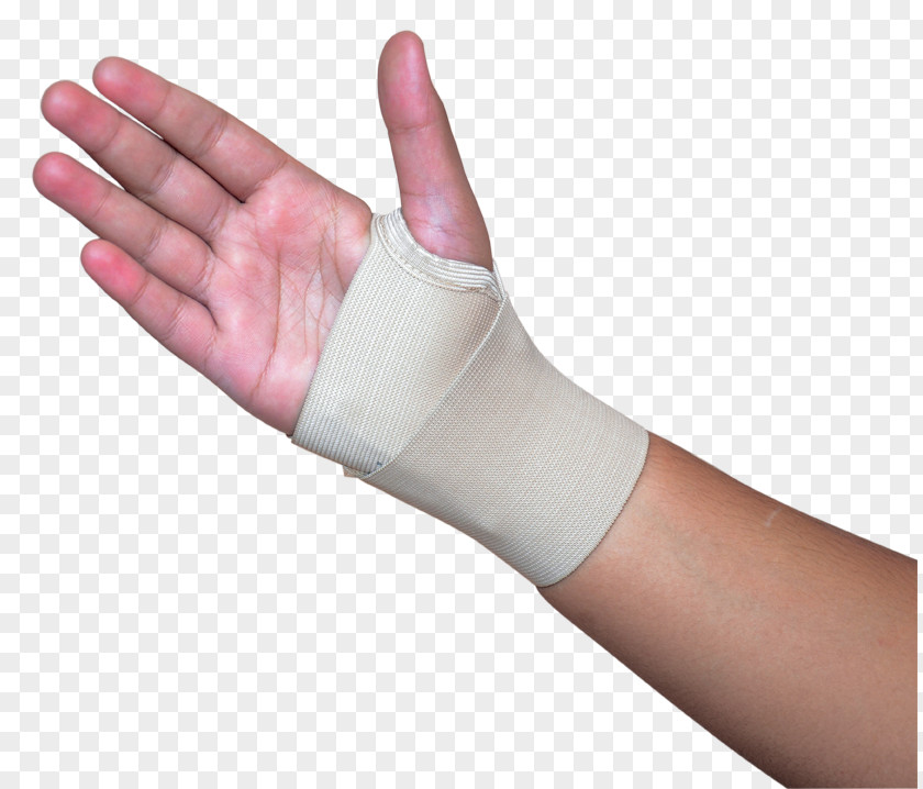 Pisiform Bone Thumb Wrist Hand Model Glove PNG