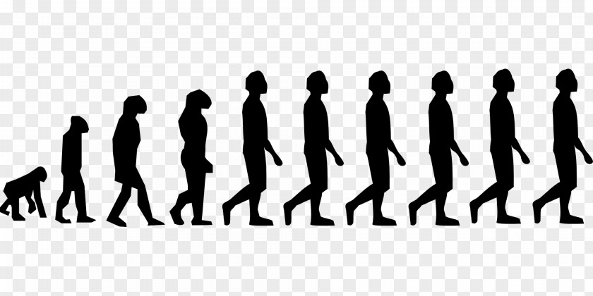 Posture Vector Human Evolution Homo Sapiens Neandertal Ape PNG