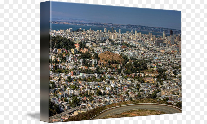 San Francisco Skyline Twin Peaks Cityscape Tourism Suburb PNG