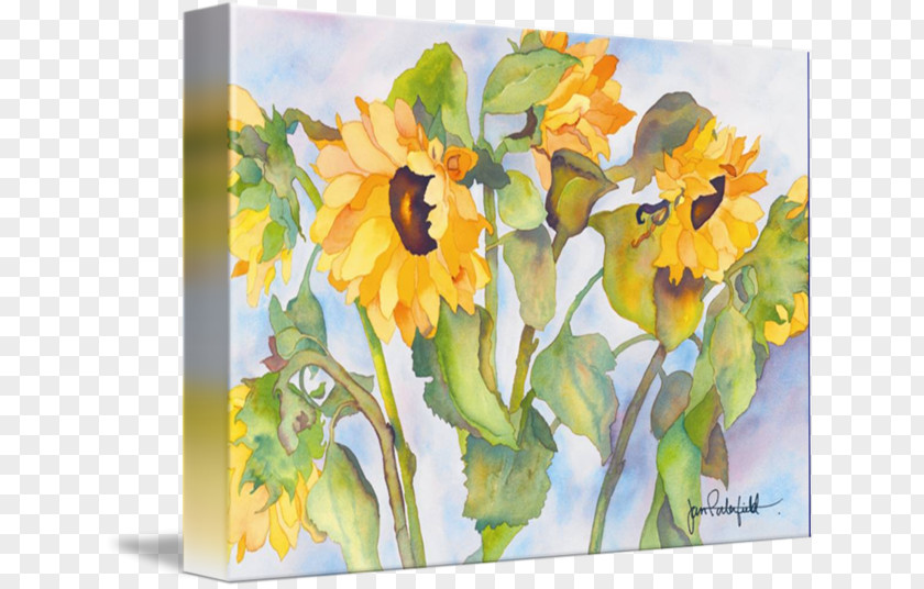 Sunflower Landscape Floral Design Watercolor Painting Gallery Wrap Art Common PNG