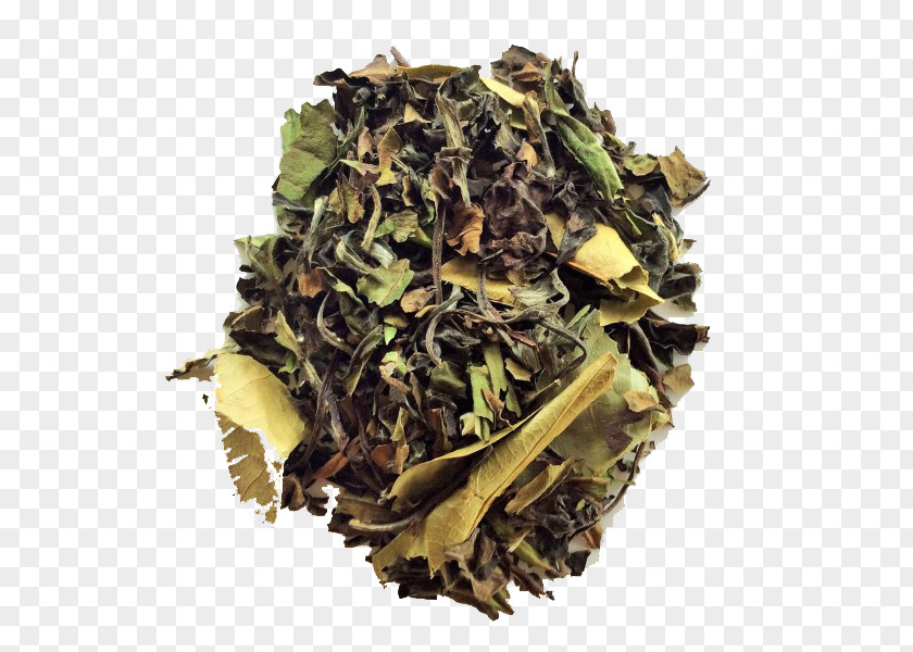 Tea Hōjicha Nilgiri White Earl Grey PNG