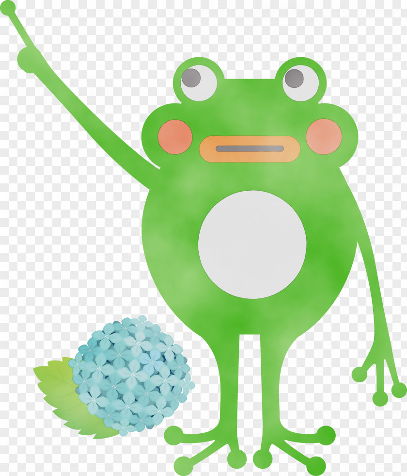 True Frog Tree Frogs Cartoon Toad PNG