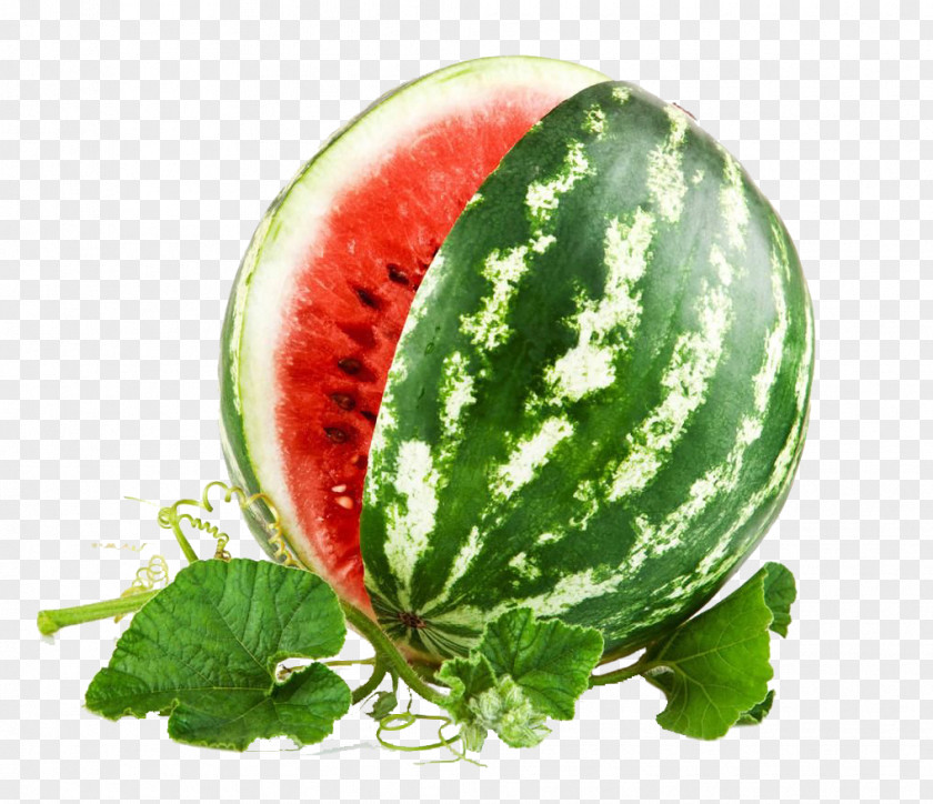 Watermelon Drawing Stock Photography Carving Clip Art PNG