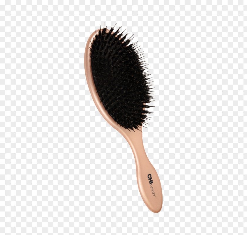 Hair Comb Hairbrush Hairdresser PNG