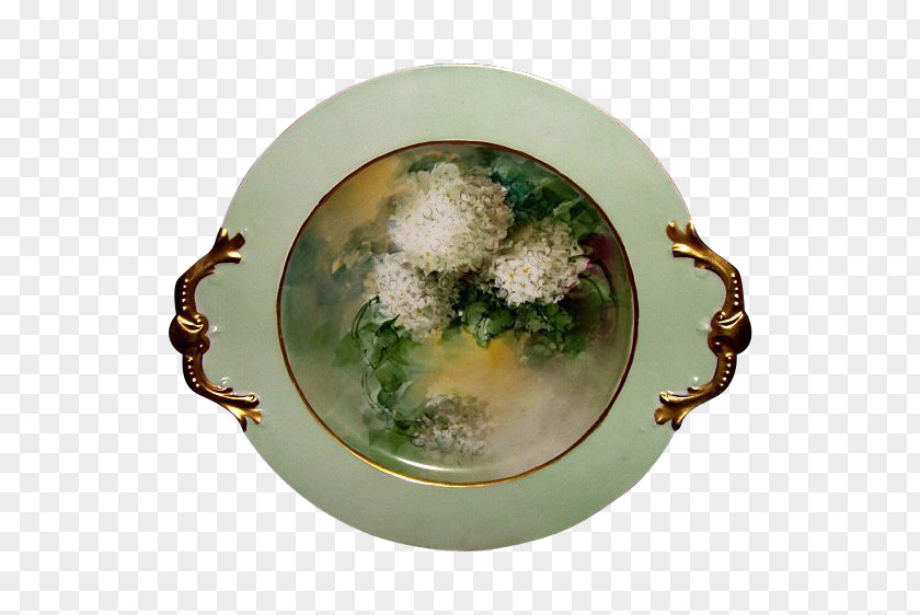 Hand Painted Hydrangea Dish Network PNG