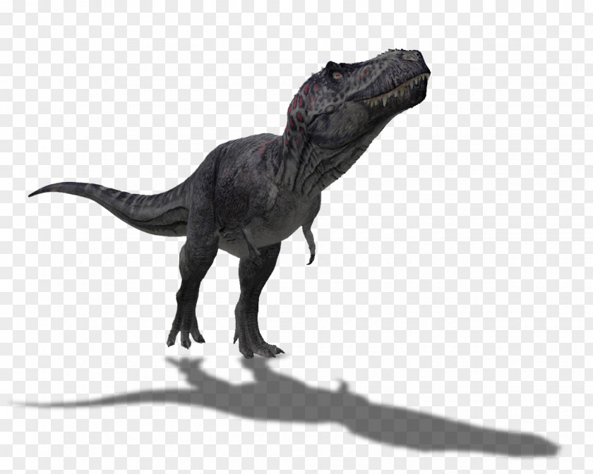 Tyrannosaurus Rex Spinosaurus Dinosaur Size Barosaurus PNG