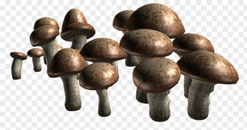 420 Edible Mushroom Fungus Clip Art PNG