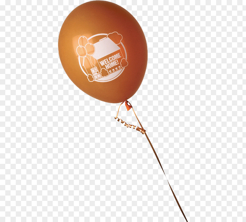 Balloon Toy Hot Air PNG