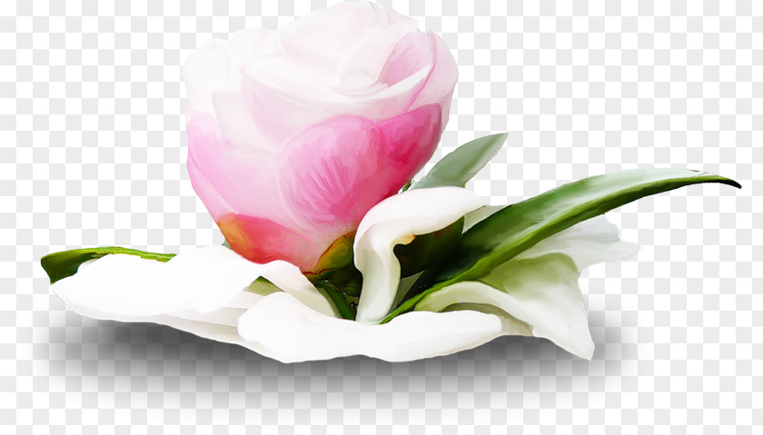 Flower Web Browser Clip Art PNG
