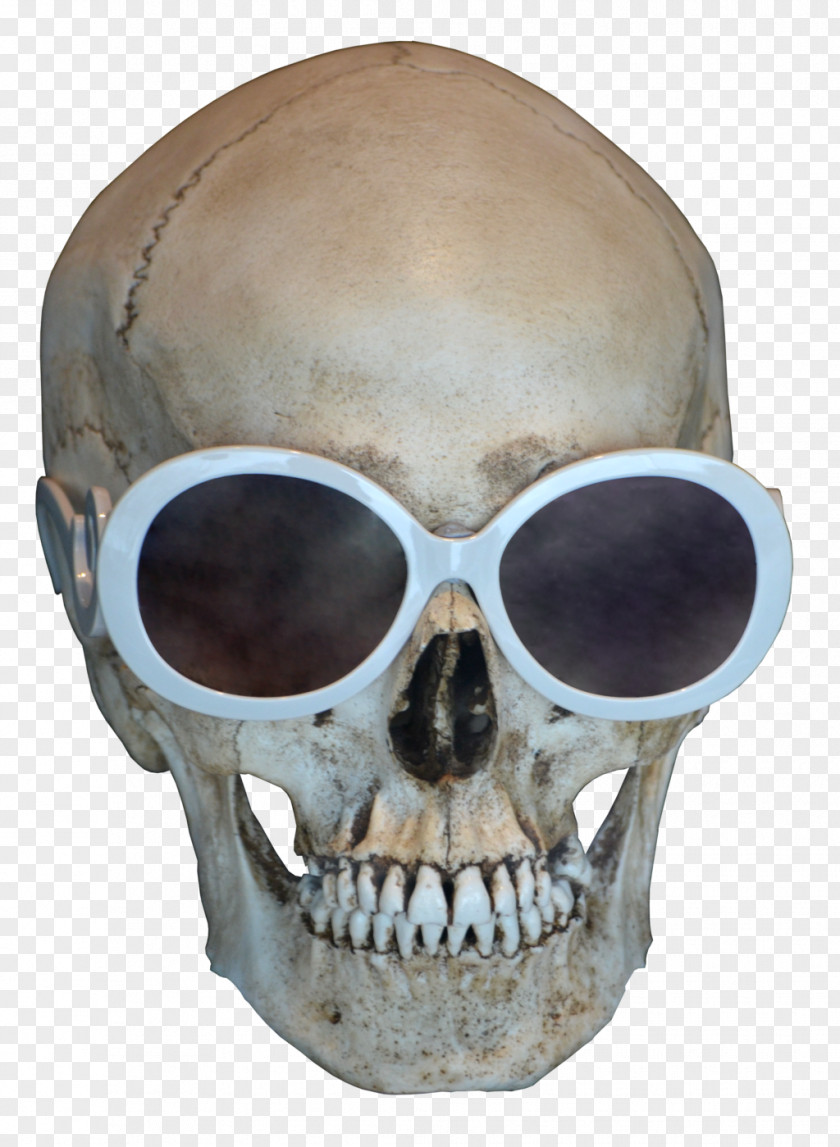 Human Skull Desktop Wallpaper Clip Art PNG