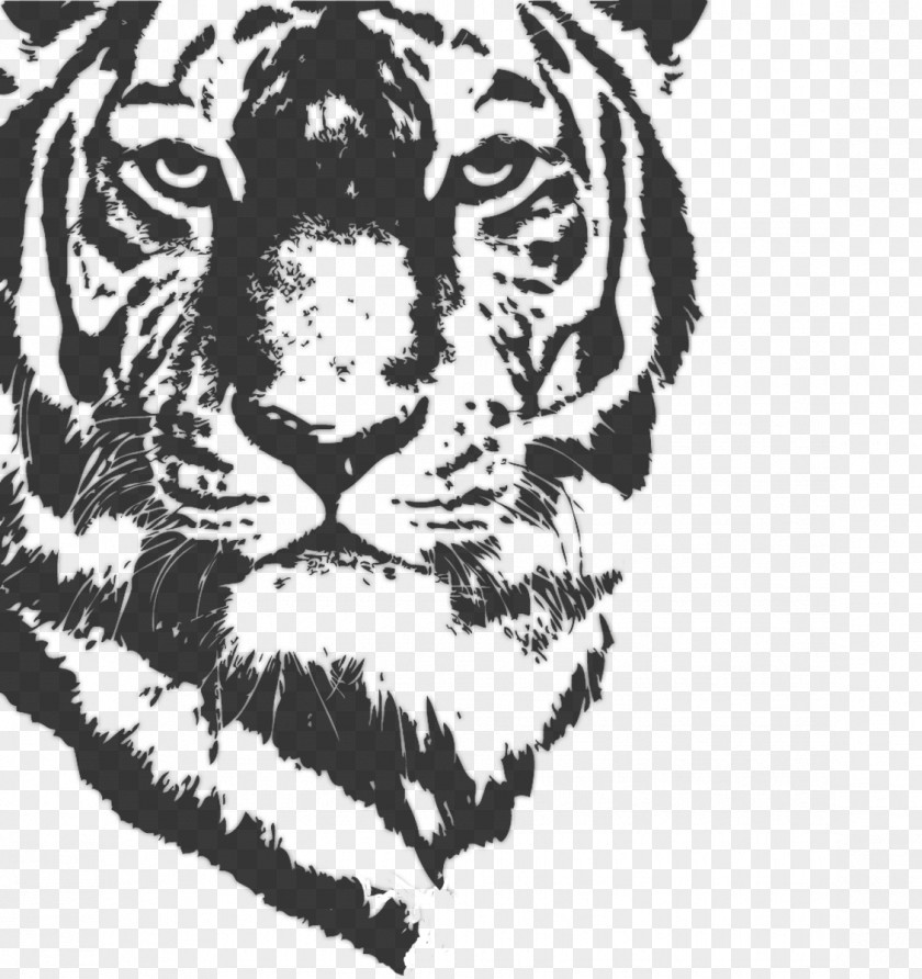 Lion Bengal Tiger PNG