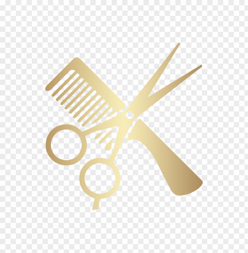 Beauty Salons Element Comb Cosmetologist Parlour Hairstyle Clip Art PNG