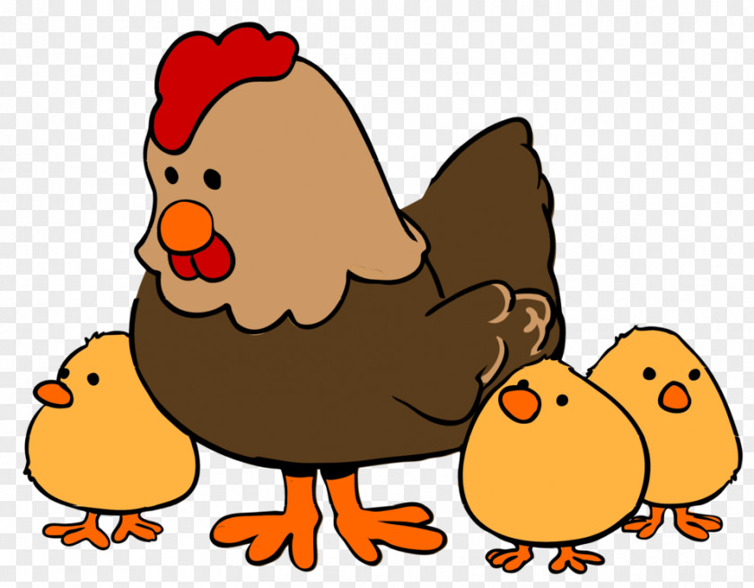 Cartoon Pictures Of Chickens Chicken Drawing Clip Art PNG