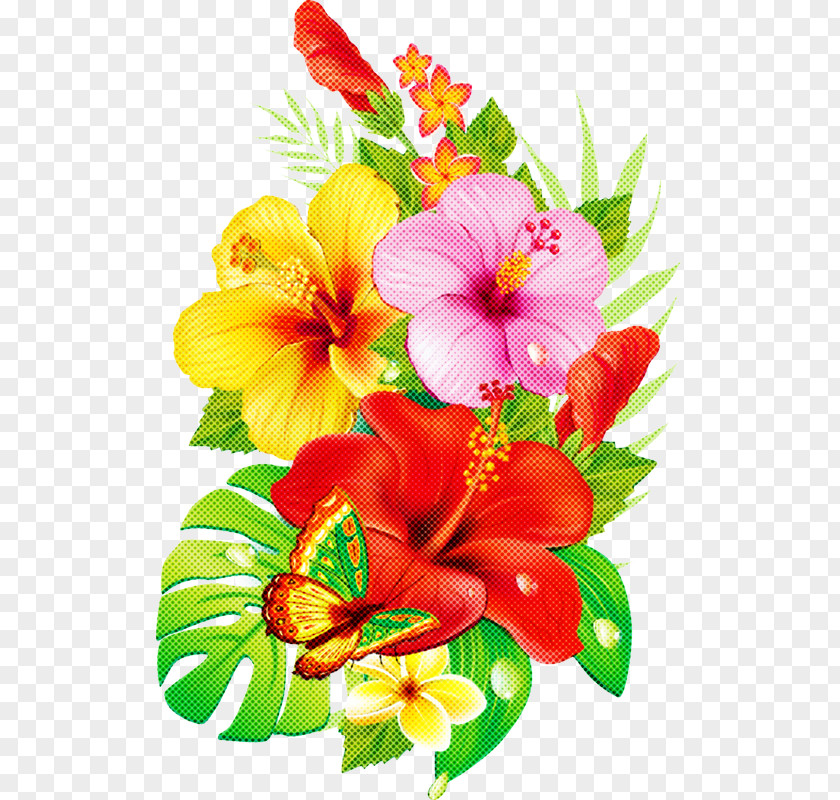 Cut Flowers Bouquet Flower Hawaiian Hibiscus Petal Plant PNG