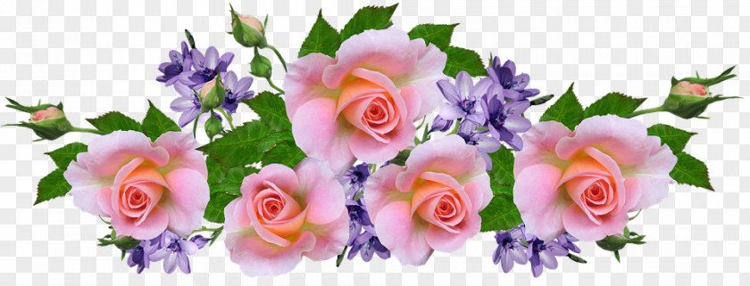 Floribunda Artificial Flower Pink Flowers Background PNG