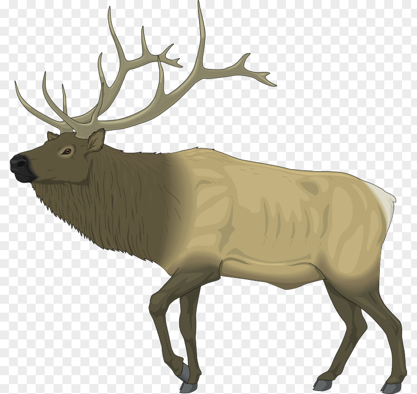 Free Animal Vector Elk Deer Content Drawing Clip Art PNG