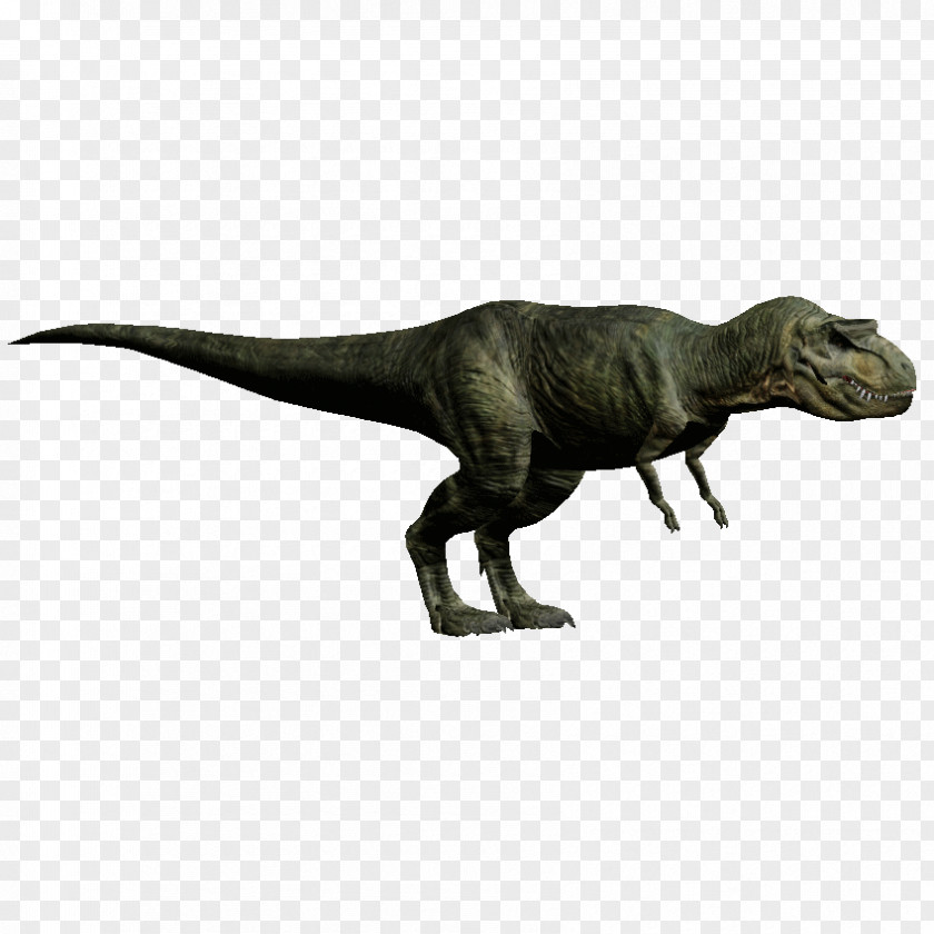 Jurassic Park Tyrannosaurus Velociraptor Spinosaurus Deinonychus PNG
