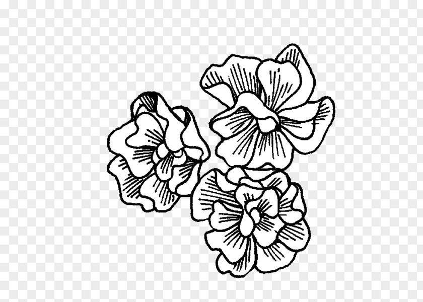 Petunias Floral Design Drawing Petunia /m/02csf Visual Arts PNG