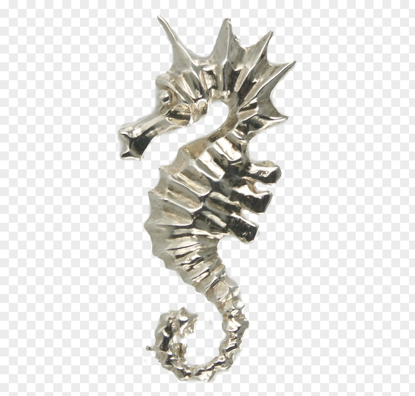 Seahorse Brooch Silver Jewellery Metal PNG