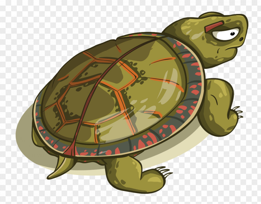 Box Turtle Painted Sea Background PNG