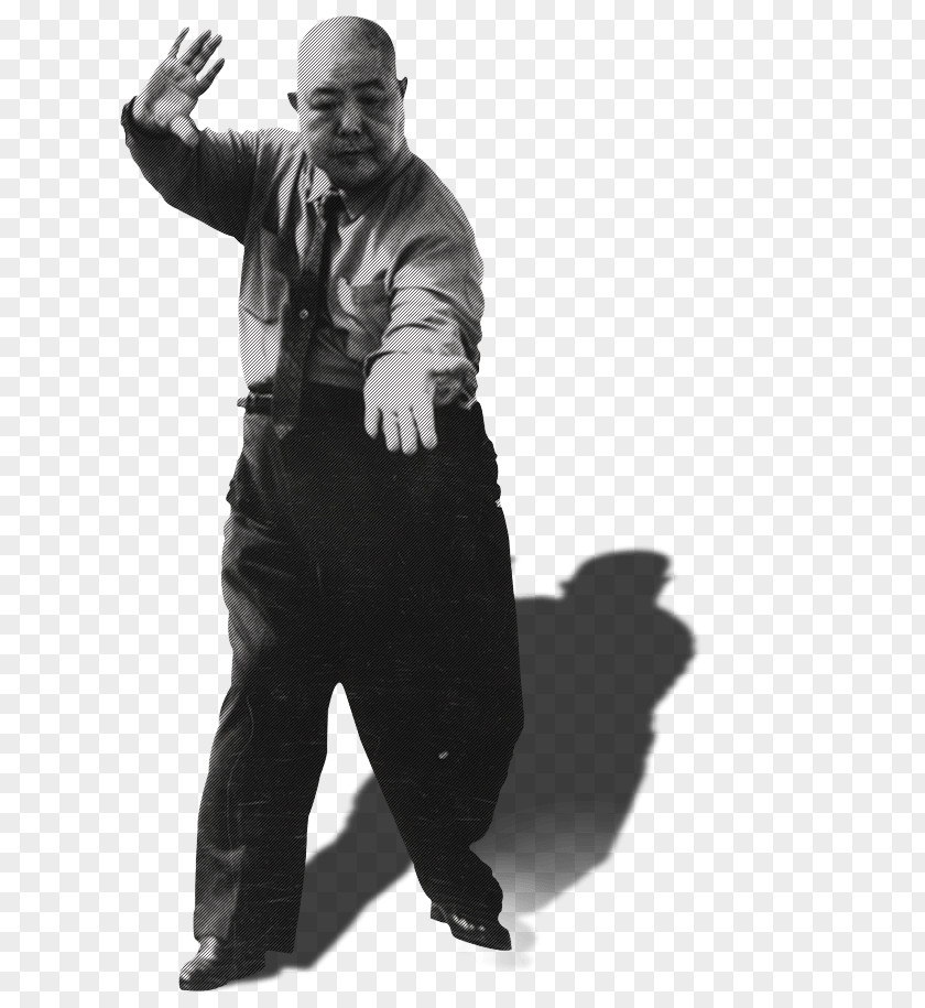 Cheng Ming Festival Chinese Martial Arts Gentleman Black And White Professional PNG