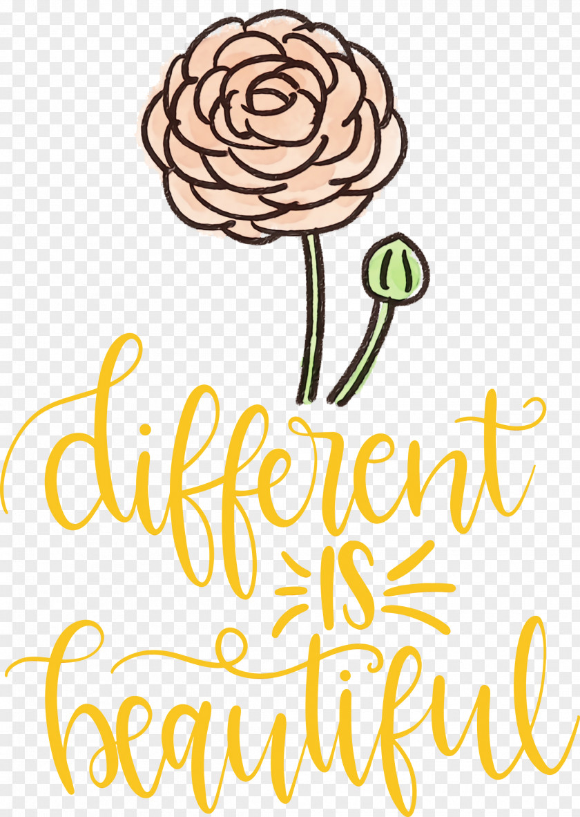 Different Is Beautiful Amazon.com Collectable Cricut PNG