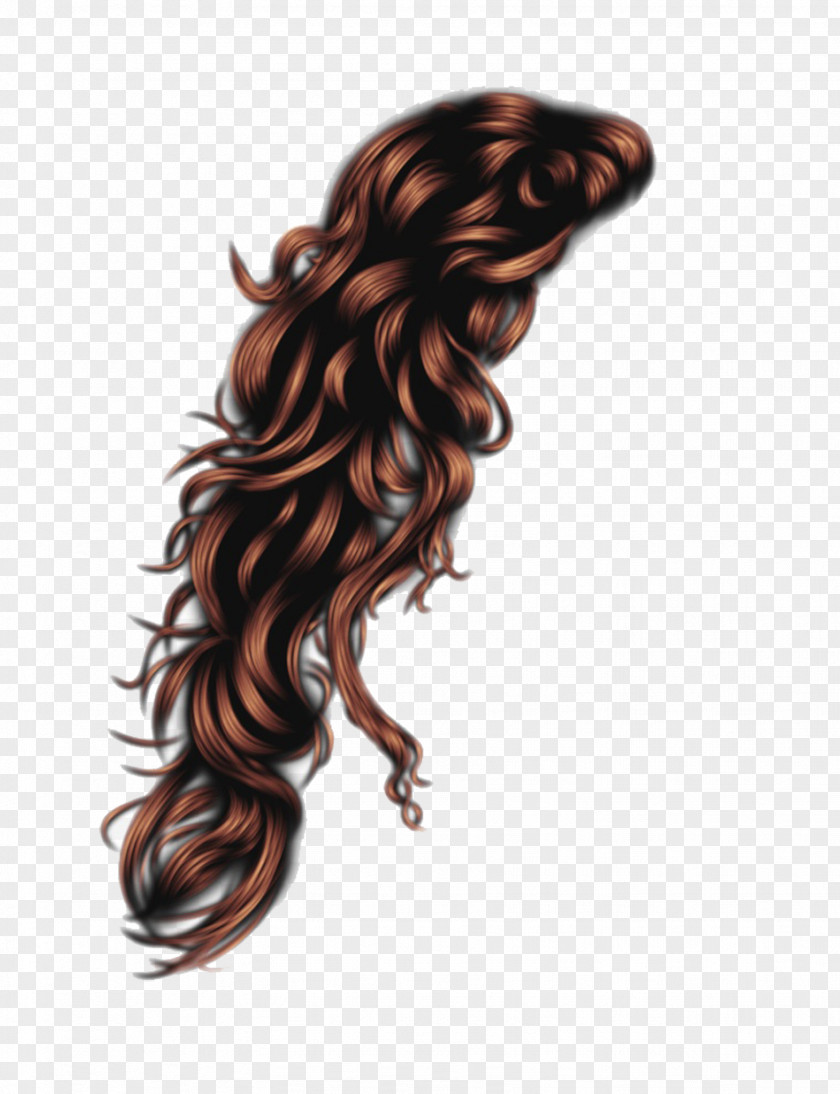 Hairstyle Wig PNG