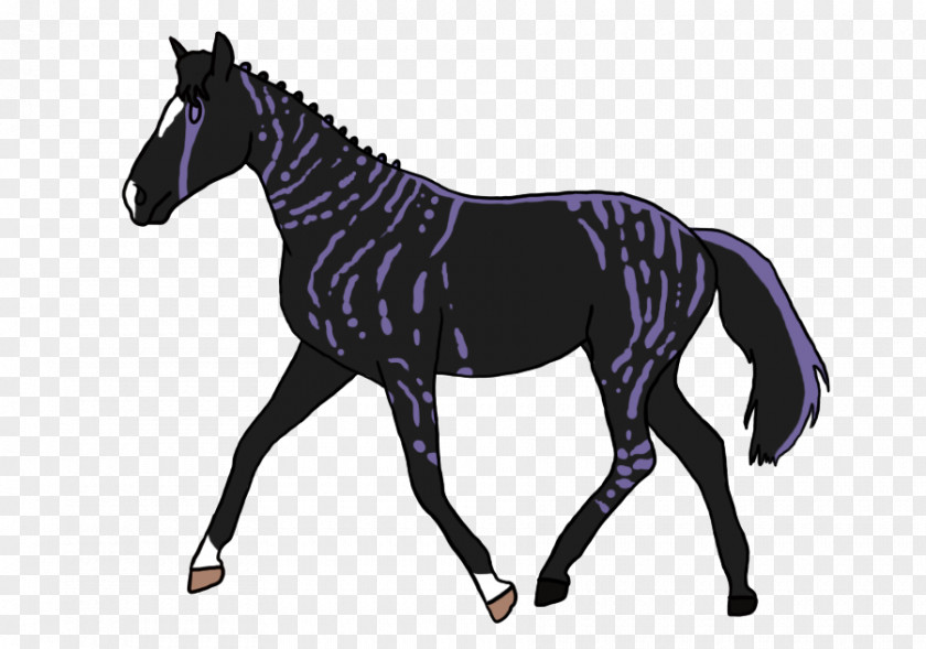 Horse Mare Shutterstock Stallion Vector Graphics PNG