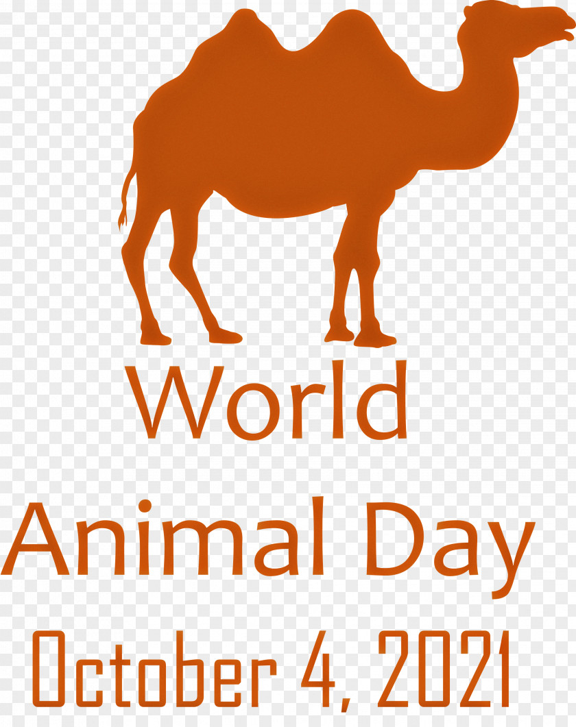 World Animal Day Animal Day PNG