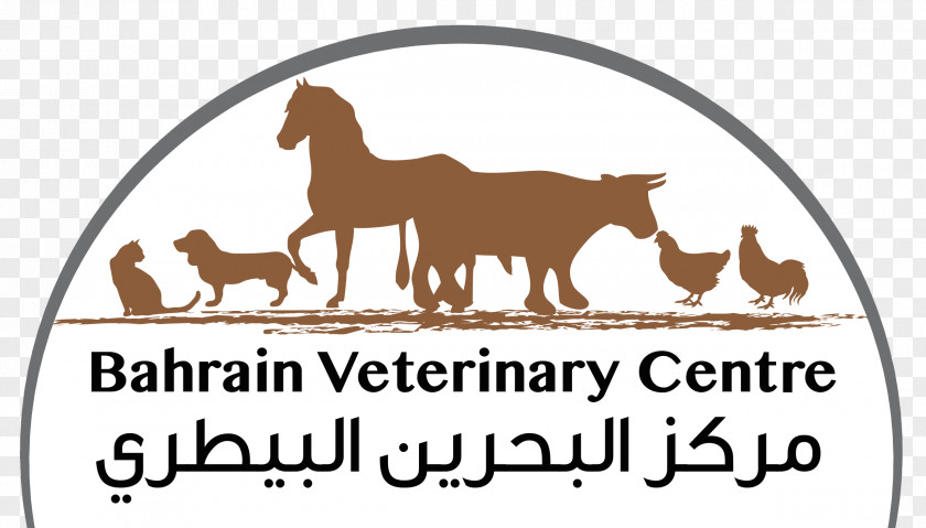 Dog Horse Cat Bahrain Veterinary Centre Medicine PNG